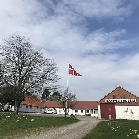 Tranum Lys og Glas Brovst Eksteriør billede